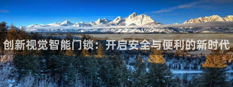 开丰娱乐app：创新视觉智能门锁：开启安全与便利的新时代