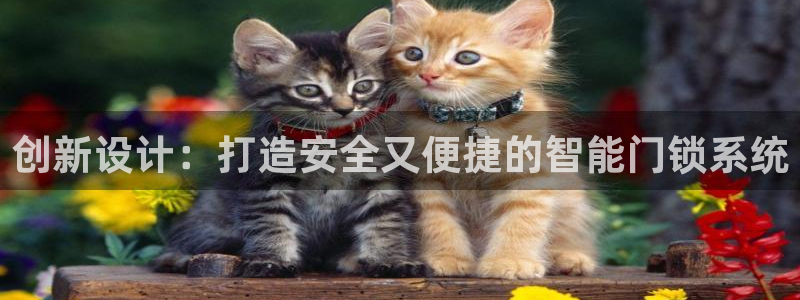 开丰娱乐主管：创新设计：打造安全又便捷的智能门锁系统
