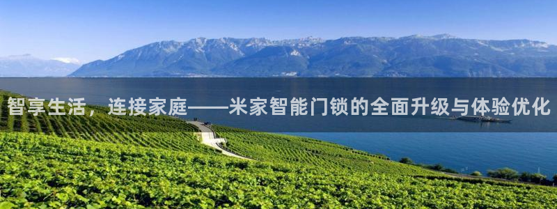开丰娱乐左：智享生活，连接家庭——米家智能门锁的全面升级与体