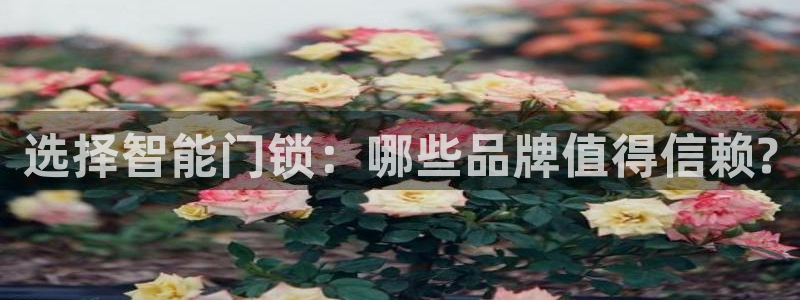 开丰娱乐平台地址查询：选择智能门锁：哪些品牌值得信赖?
