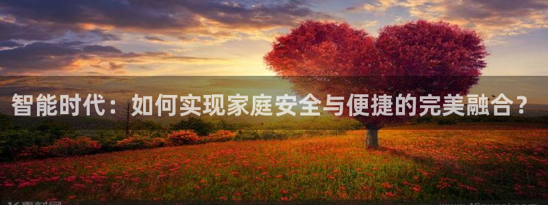 开丰娱乐官网平台登录：智能时代：如何实现家庭安全与便捷的完美