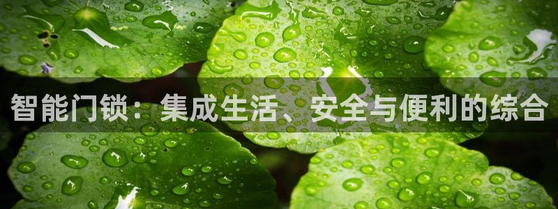 开丰娱乐下载安装：智能门锁：集成生活、安全与便利的综合