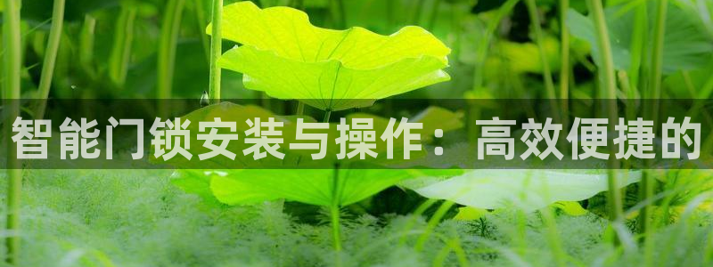 开丰娱乐地址查询：智能门锁安装与操作：高效便捷的