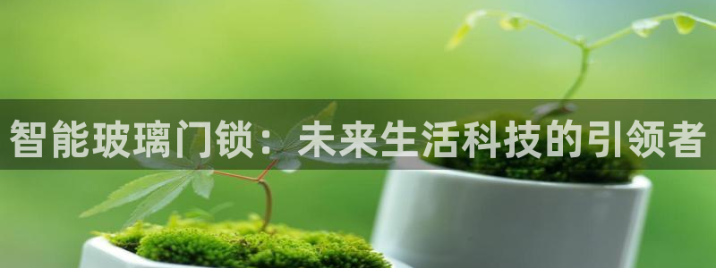 开丰娱乐怎么样：智能玻璃门锁：未来生活科技的引领者