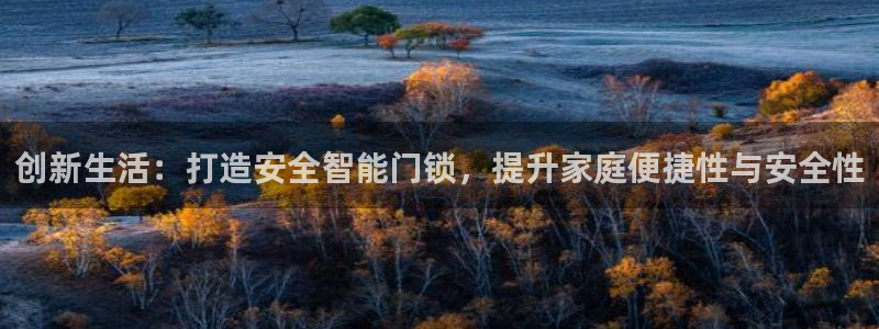 开丰娱乐登入地址查询：创新生活：打造安全智能门锁，提升家庭便