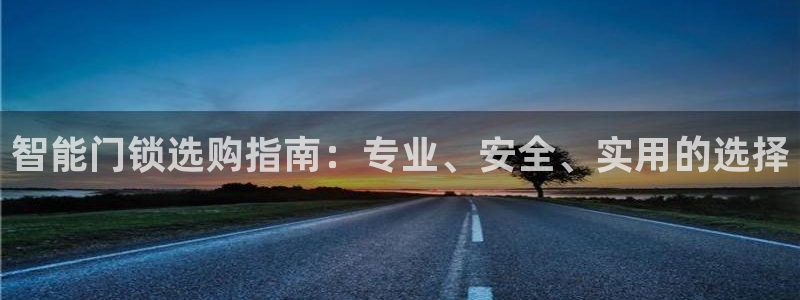 开丰娱乐上：智能门锁选购指南：专业、安全、实用的选择