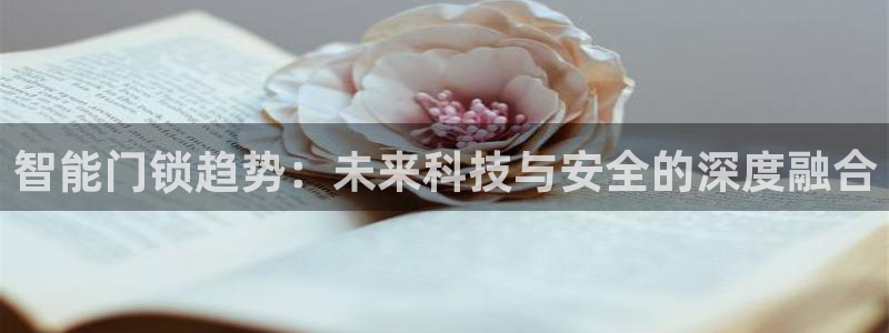 开丰娱乐日：智能门锁趋势：未来科技与安全的深度融合
