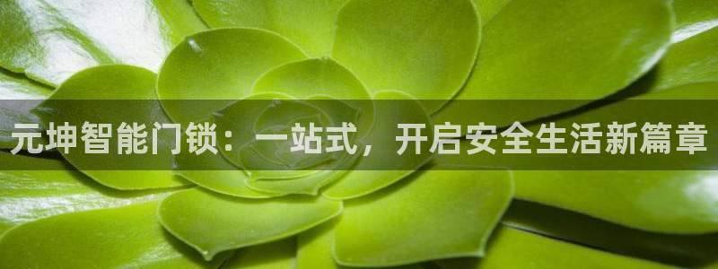开丰娱乐行业恢复时间：元坤智能门锁：一站式，开启安全生活新篇