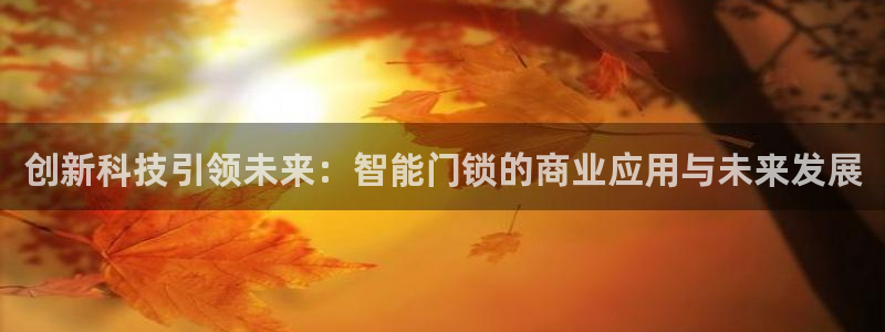 开丰娱乐寸67五壹叁八：创新科技引领未来：智能门锁的商业应用
