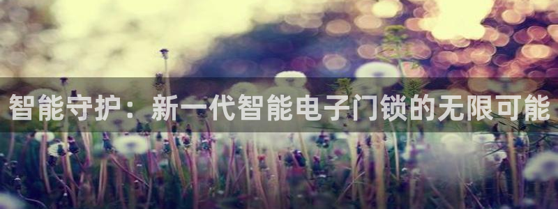 开丰娱乐app：智能守护：新一代智能电子门锁的无限可能