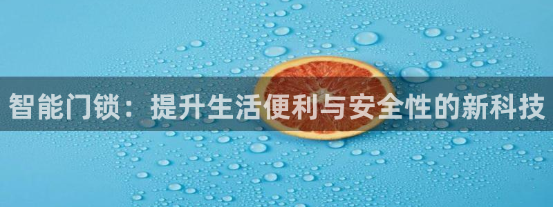 开丰娱乐主管家去判官333OO：智能门锁：提升生活便利与安全