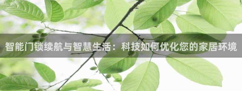 开丰娱乐登入地址是什么：智能门锁续航与智慧生活：科技如何优化