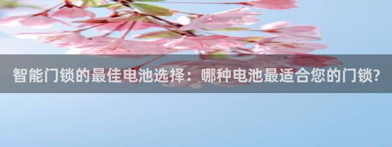 开丰娱乐地址查询：智能门锁的最佳电池选择：哪种电池最适合您的