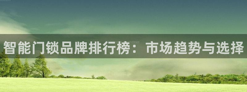 开丰娱乐万六七五一38：智能门锁品牌排行榜：市场趋势与选择