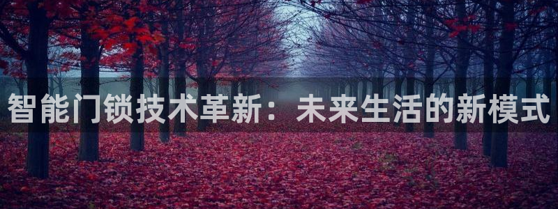 开丰娱乐注册：智能门锁技术革新：未来生活的新模式
