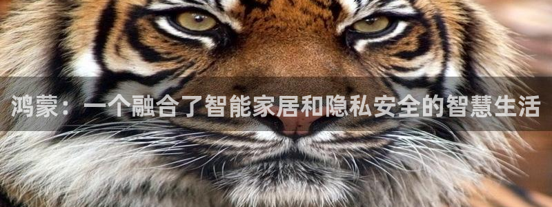 开丰娱乐平台登录：鸿蒙：一个融合了智能家居和隐私安全的智慧生