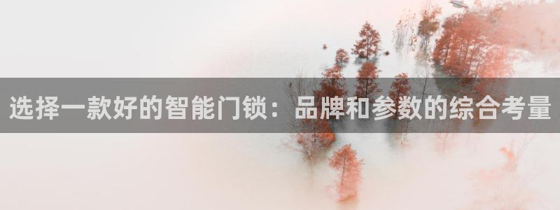 开丰娱乐于六七五一38：选择一款好的智能门锁：品牌和参数的综