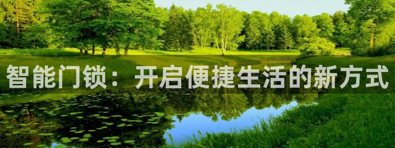 开丰娱乐与六七五一38：智能门锁：开启便捷生活的新方式