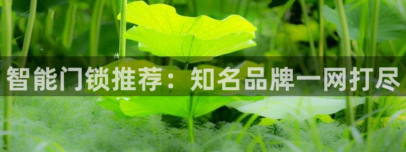 开丰娱乐平台地址在哪里：智能门锁推荐：知名品牌一网打尽