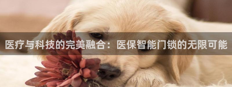 开丰娱乐联系q徽22212：医疗与科技的完美融合：医保智能门