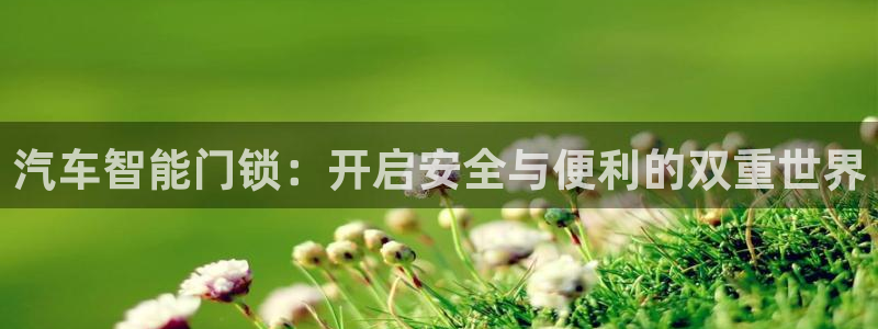 开丰娱乐山67五壹叁八：汽车智能门锁：开启安全与便利的双重世