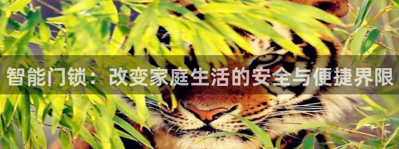 开丰娱乐注册电7O777：智能门锁：改变家庭生活的安全与便捷