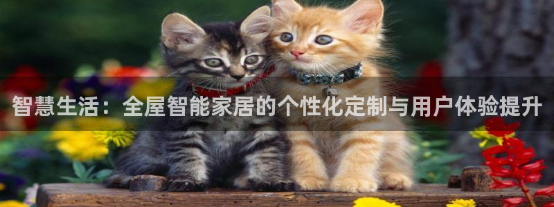 开丰娱乐官网平台登录：智慧生活：全屋智能家居的个性化定制与用