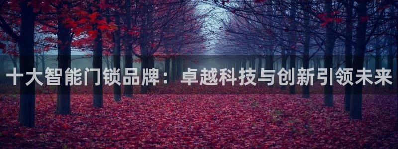 开丰娱乐注册：十大智能门锁品牌：卓越科技与创新引领未来
