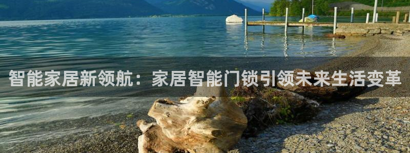 开丰娱乐注册自判官333OO：智能家居新领航：家居智能门锁引