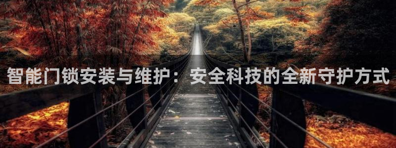 开丰娱乐日7O667：智能门锁安装与维护：安全科技的全新守护