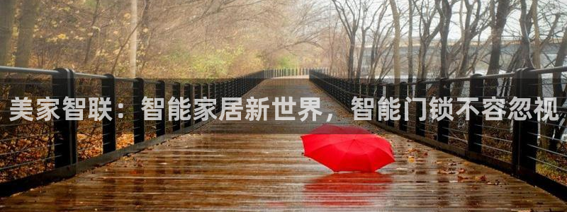 开丰娱乐平台官网网址：美家智联：智能家居新世界，智能门锁不容