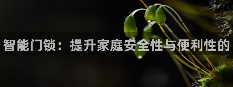 开丰娱乐左7O667：智能门锁：提升家庭安全性与便利性的