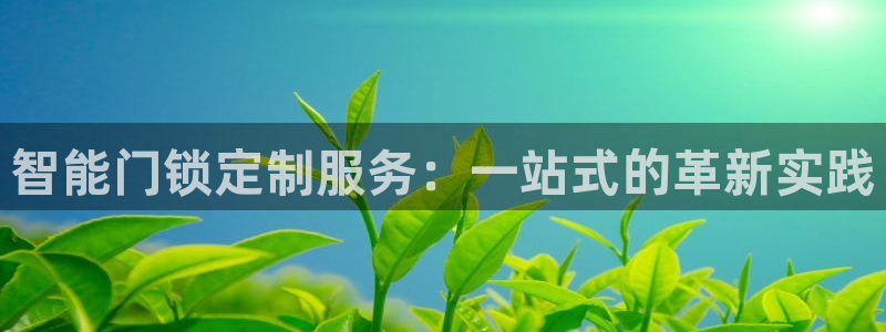 开丰娱乐平台官网网址：智能门锁定制服务：一站式的革新实践
