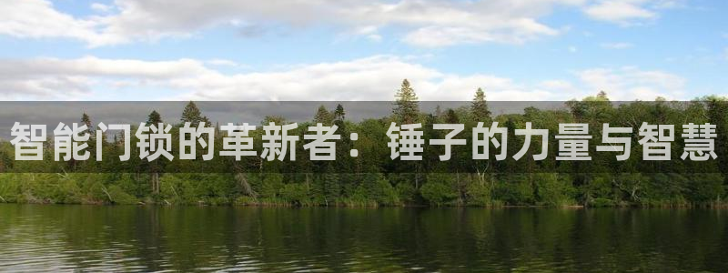 开丰娱乐登录官方网站：智能门锁的革新者：锤子的力量与智慧