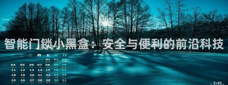 开丰娱乐注册登录不了：智能门锁小黑盒：安全与便利的前沿科技