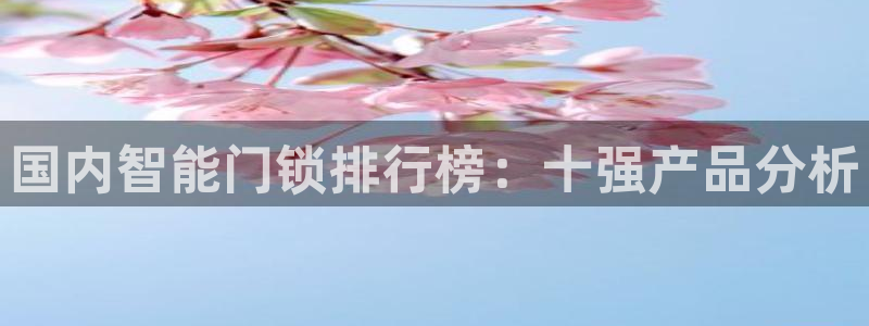 开丰娱乐手机app：国内智能门锁排行榜：十强产品分析