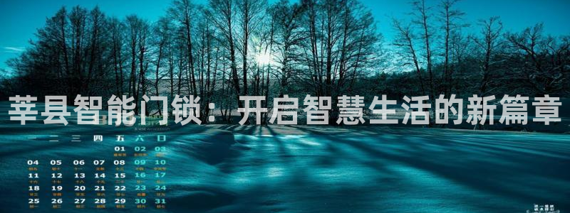 如何注册开丰娱乐账号：莘县智能门锁：开启智慧生活的新篇章