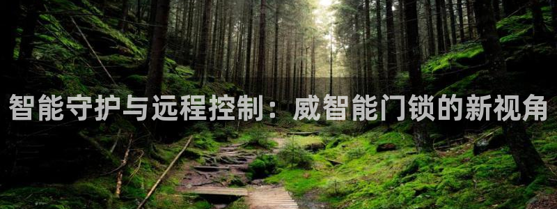 开丰娱乐平台官网网址：智能守护与远程控制：威智能门锁的新视角