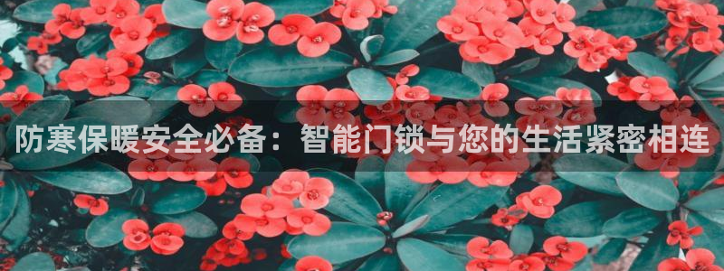 开丰娱乐下：防寒保暖安全必备：智能门锁与您的生活紧密相连