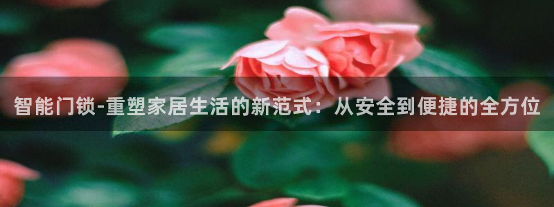 开丰娱乐注册资金多少：智能门锁-重塑家居生活的新范式：从安全