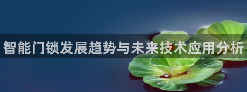开丰娱乐网官网注册入口：智能门锁发展趋势与未来技术应用分析