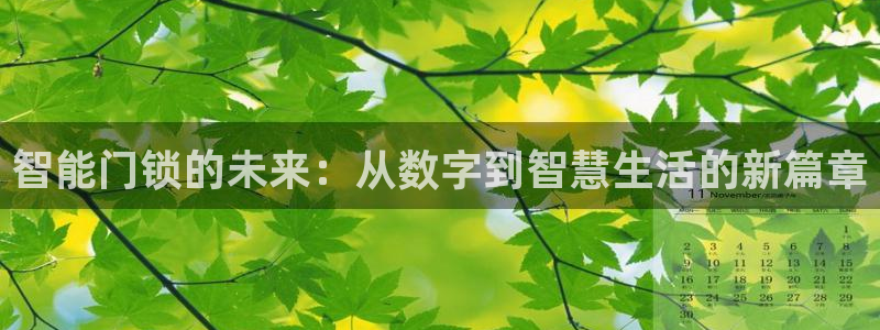 开丰娱乐网站：智能门锁的未来：从数字到智慧生活的新篇章