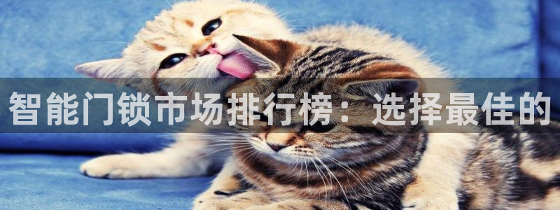 开丰娱乐后7O667：智能门锁市场排行榜：选择最佳的