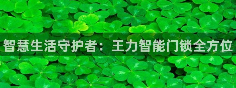 开丰娱乐于六七五一38：智慧生活守护者：王力智能门锁全方位