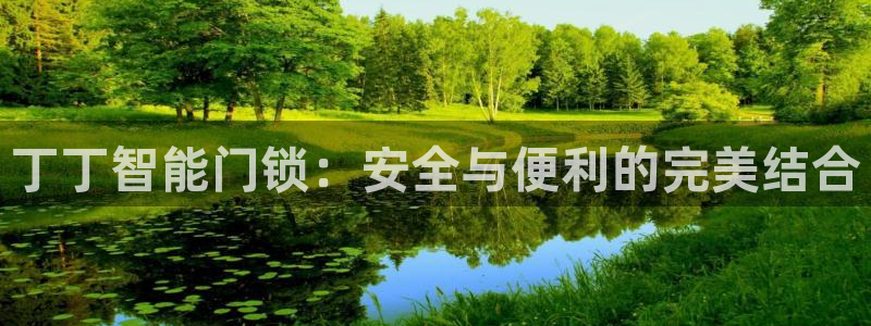 开丰娱乐平台注册：丁丁智能门锁：安全与便利的完美结合
