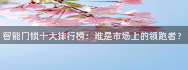开丰娱乐不开了吗：智能门锁十大排行榜：谁是市场上的领跑者？