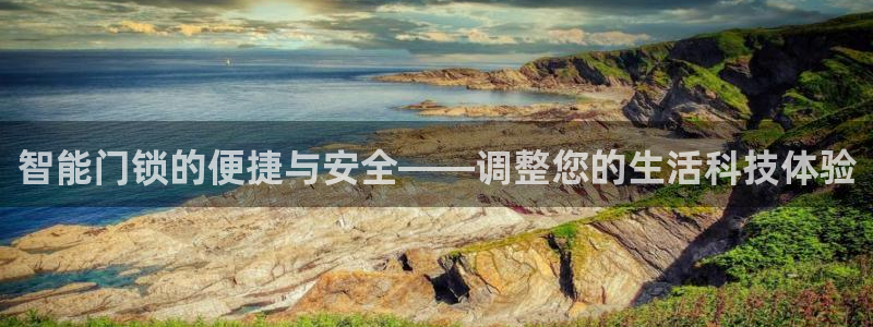 开丰娱乐主管家去判官333OO：智能门锁的便捷与安全——调整
