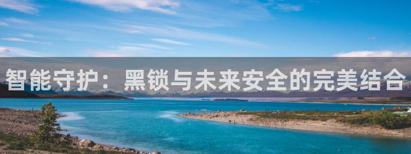 开丰娱乐官网平台：智能守护：黑锁与未来安全的完美结合