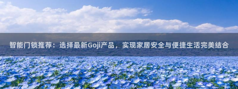 开丰娱乐主管：智能门锁推荐：选择最新Goji产品，实现家居安