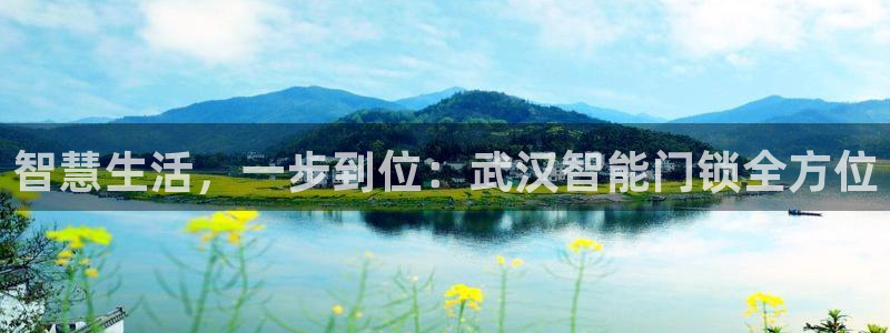 开丰娱乐怎么开转点：智慧生活，一步到位：武汉智能门锁全方位